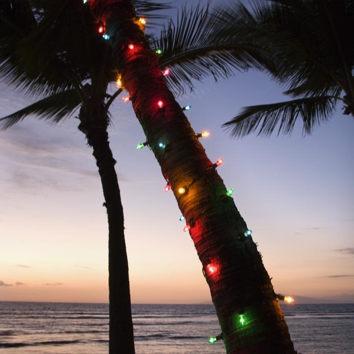 Local Expert Gina Birch, Highlights The 10 Best Holiday Attractions in Southwest Florida
